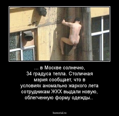 ... в Москве солнечно, 34 градуса тепла.  Столичная мэрия сообщает, что в условиях аномально жаркого лета  сотрудникам ЖКХ выдали новую, облегченную форму одежды..