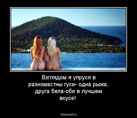 Взглядом я упруся в разномастны гуси- одна рыжа, друга бела-обе в лучшем вкусе!