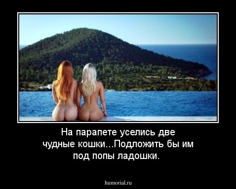 На парапете уселись две чудные кошки...Подложить бы им под попы ладошки.
