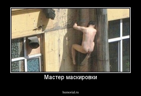 Мастер маскировки
