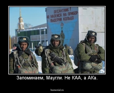 Запоминаем, Маугли. Не КАА, а АКа.