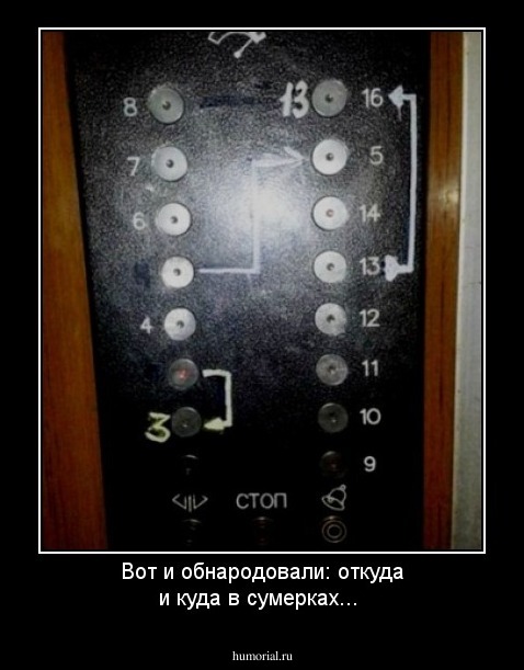 Вот и обнародовали: откуда и куда в сумерках...
