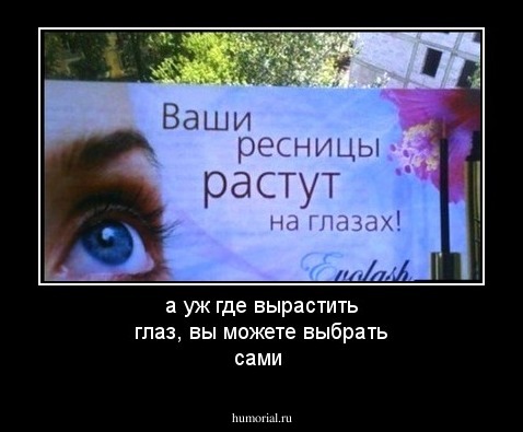 а уж где вырастить глаз, вы можете выбрать сами