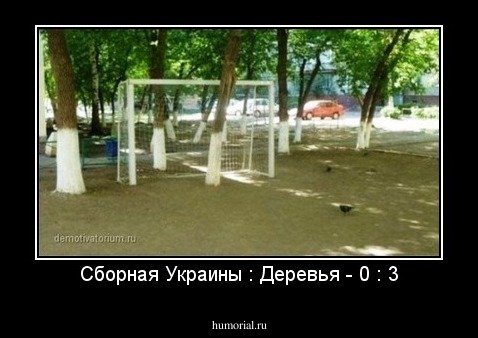 Сборная Украины : Деревья - 0 : 3