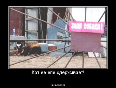 Кот её еле сдерживает!
