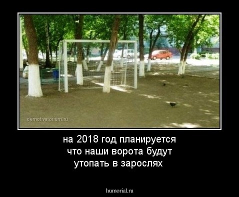на 2018 год планируется что наши ворота будут утопать в зарослях