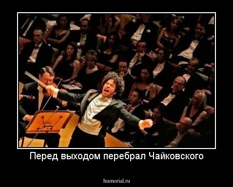 Перед выходом перебрал Чайковского