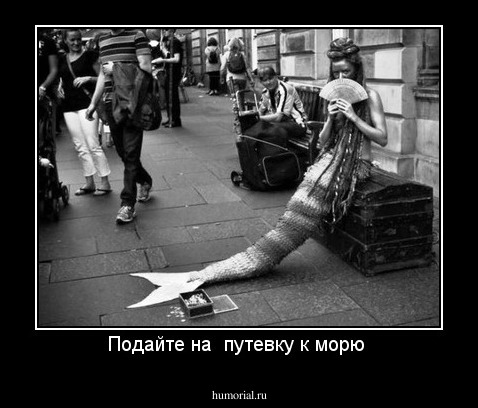 Подайте на  путевку к морю 