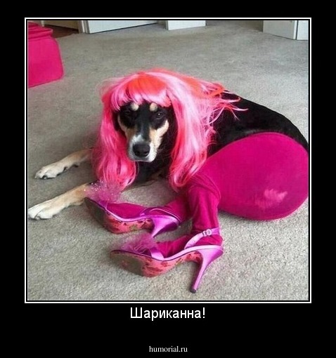 Шариканна!