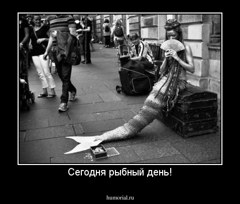 Сегодня рыбный день!