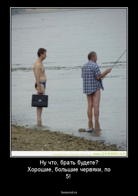 Ну что, брать будете? Хорошие, большие червяки, по 5!