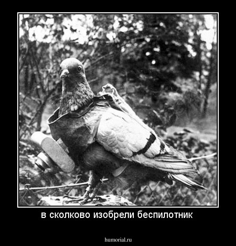 в сколково изобрели беспилотник 
