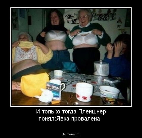 И только тогда Плейшнер понял:Явка провалена. 
