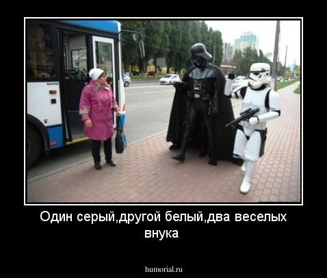 Один серый,другой белый,два веселых внука