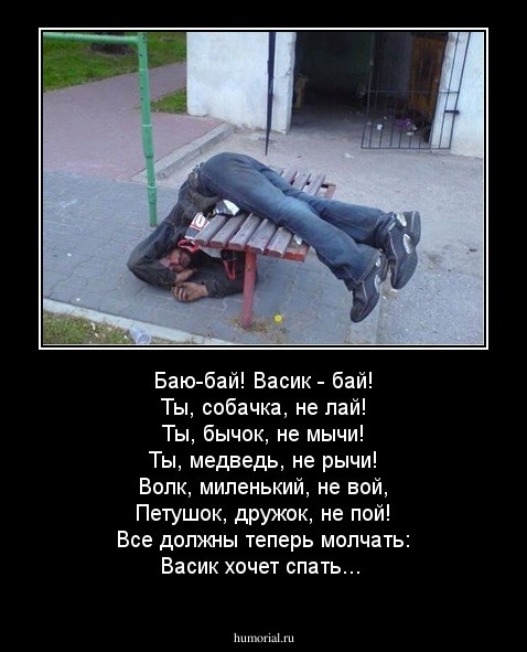 Баю-бай! Васик - бай!
Ты, собачка, не лай!
Ты, бычок, не мычи!
Ты, медведь, не рычи!
Волк, миленький, не вой,
Петушок, дружок, не пой!
Все должны теперь молчать:
Васик хочет спать...