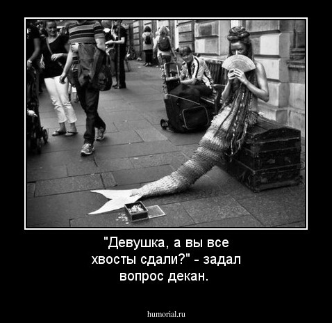 "Девушка, а вы все хвосты сдали?" - задал вопрос декан.