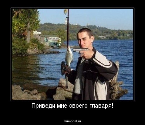 Приведи мне своего главаря!