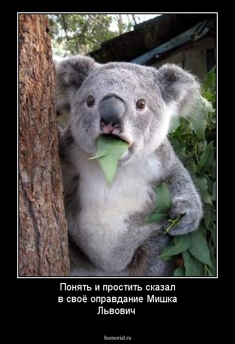 Понять и простить сказал в своё оправдание Мишка Львович