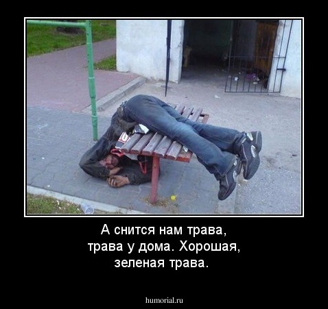 А снится нам трава, трава у дома. Хорошая, зеленая трава.