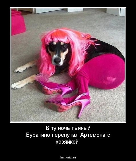 В ту ночь пьяный Буратино перепутал Артемона с хозяйкой 