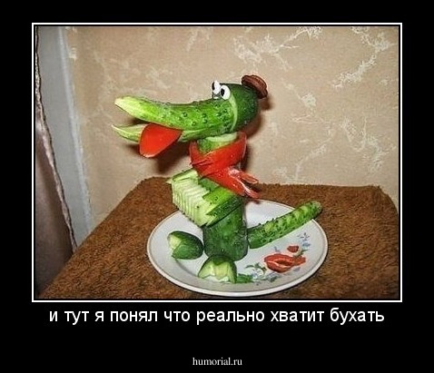 и тут я понял что реально хватит бухать