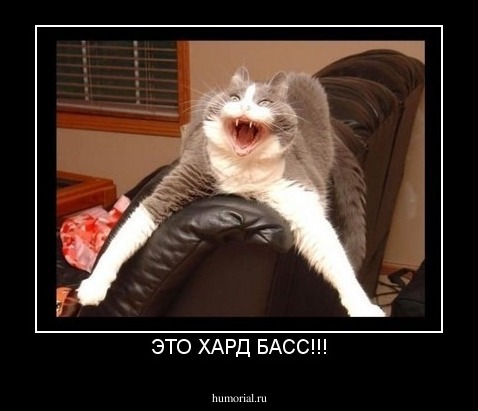 ЭТО ХАРД БАСС!!!