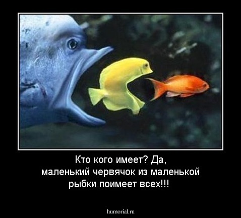 Кто кого имеет? Да, маленький червячок из маленькой рыбки поимеет всех!!!