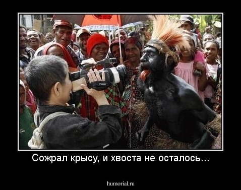 Сожрал крысу, и хвоста не осталось...