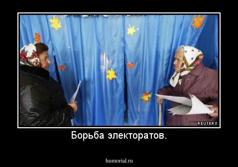 Борьба электоратов.