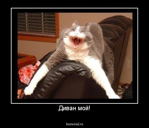 Диван мой!