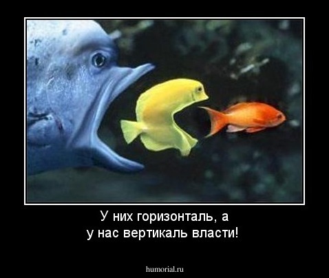 У них горизонталь, а у нас вертикаль власти!