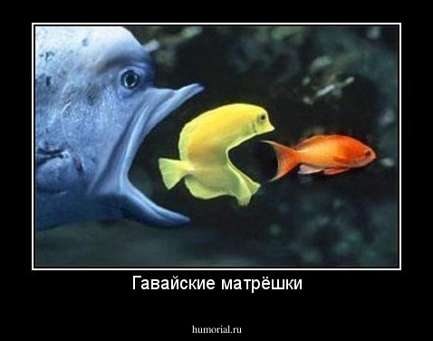 Гавайские матрёшки