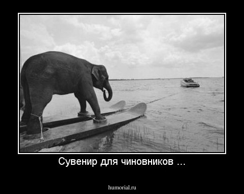 Сувенир для чиновников ...