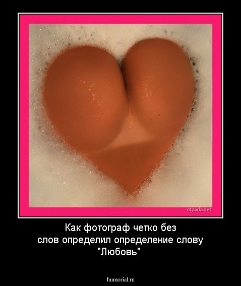 Как фотограф четко без слов определил определение слову "Любовь"
