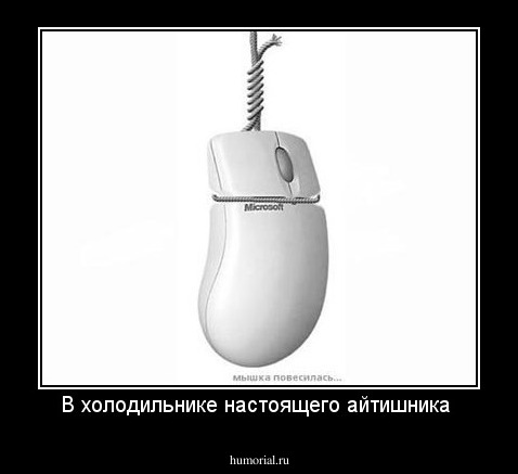 В холодильнике настоящего айтишника