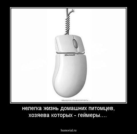 нелегка жизнь домашних питомцев, хозяева которых - геймеры....