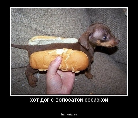 хот дог с волосатой сосиской