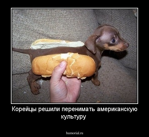 Корейцы решили перенимать американскую культуру