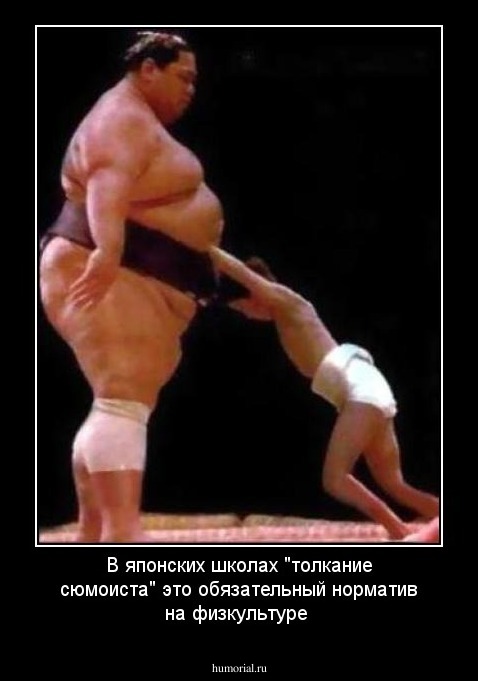 В японских школах "толкание сюмоиста" это обязательный норматив на физкультуре