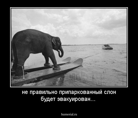 не правильно припаркованный слон будет эвакуирован... 