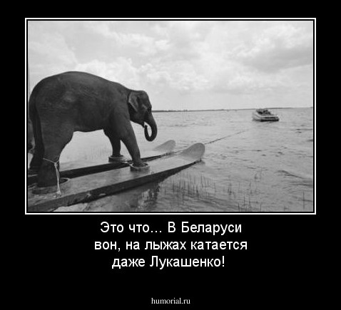 Это что... В Беларуси вон, на лыжах катается даже Лукашенко!