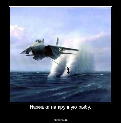 Наживка на крупную рыбу.