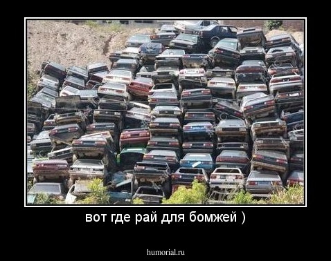 вот где рай для бомжей )