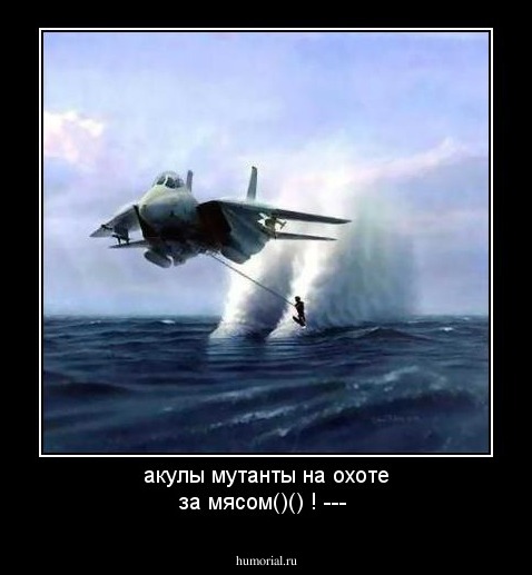 акулы мутанты на охоте за мясом()()
                                                                 !
                                                               ---