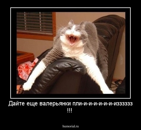 Дайте еще валерьянки пли-и-и-и-и-и-и-изззззз !!!
