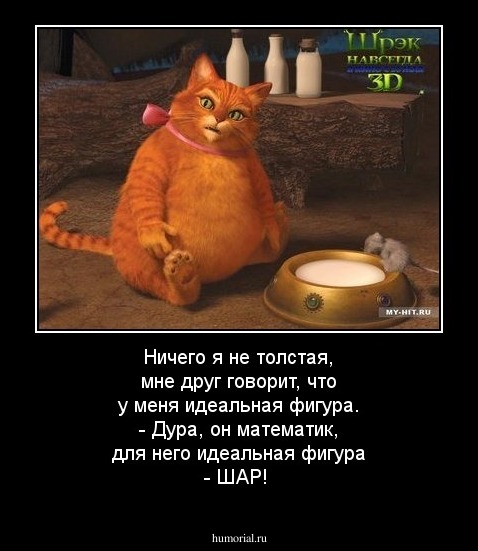 Ничего я не толстая, мне друг говорит, что у меня идеальная фигура. - 
Дура, он математик, для него идеальная фигура - ШАР!