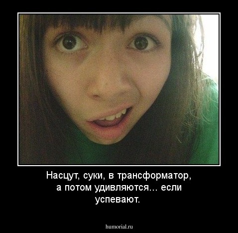 Насцут, суки, в трансформатор, а потом удивляются... если успевают.