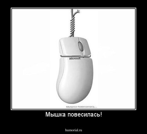 Мышка повесилась!