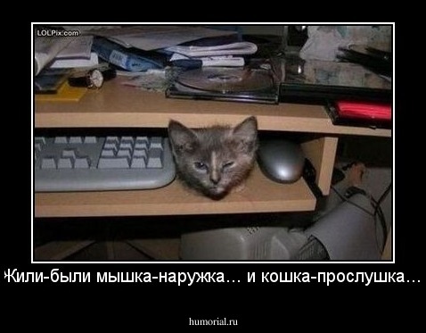 Жили-были мышка-наружка...
и кошка-прослушка...