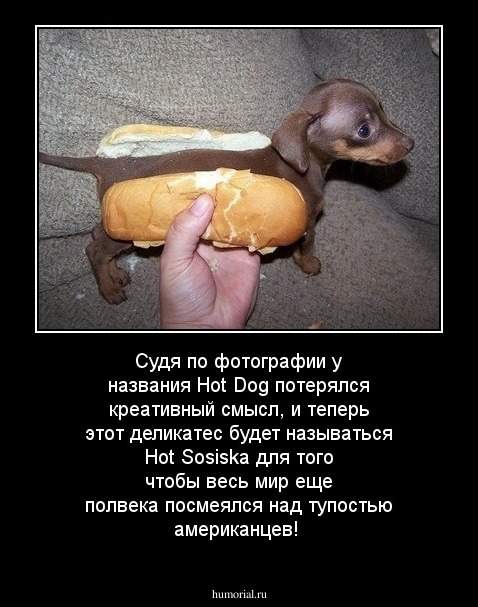 Судя по фотографии у названия Hot Dog потерялся креативный смысл, и теперь этот деликатес будет называться Hot Sosiska для того чтобы весь мир еще полвека посмеялся над тупостью американцев!